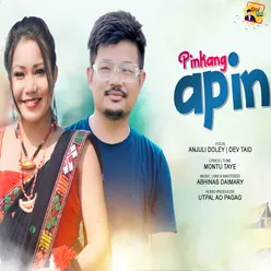 Pinkang Apin